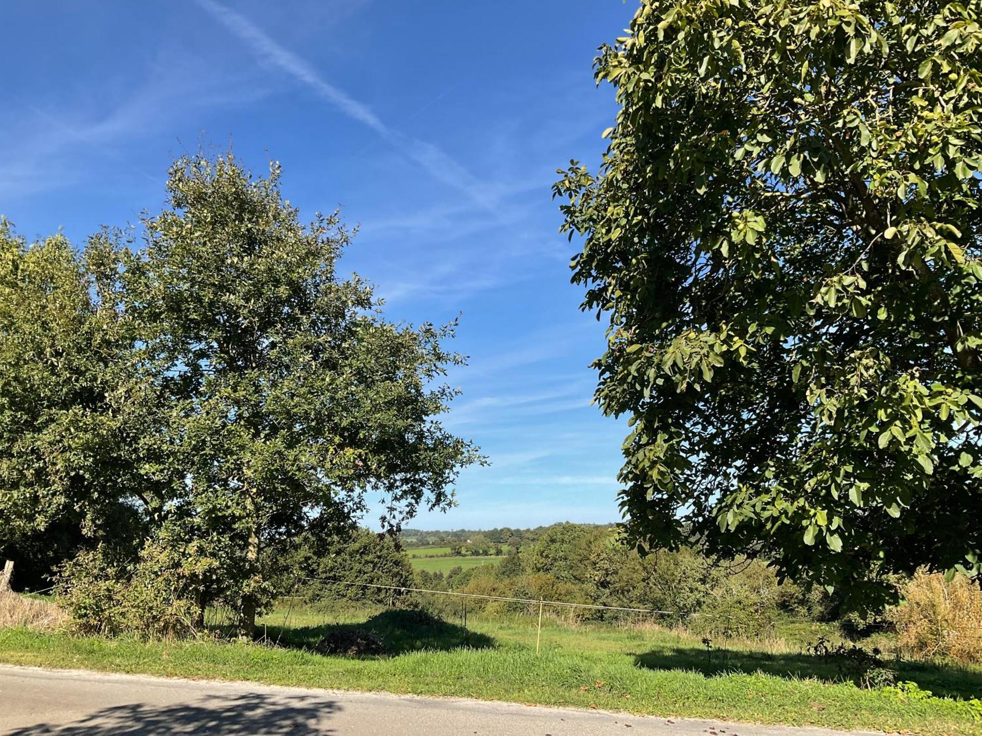 Bed and Breakfast La Brionniere Saint-Pierre-du-Chemin Exterior foto